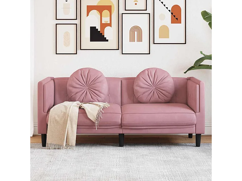 Canapé avec coussins 2 places rose velours