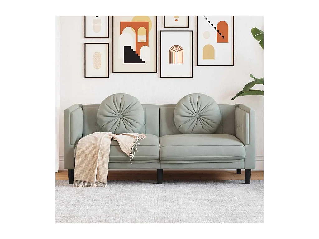 2-zits lichtgrijze fluwelen bank met kussens