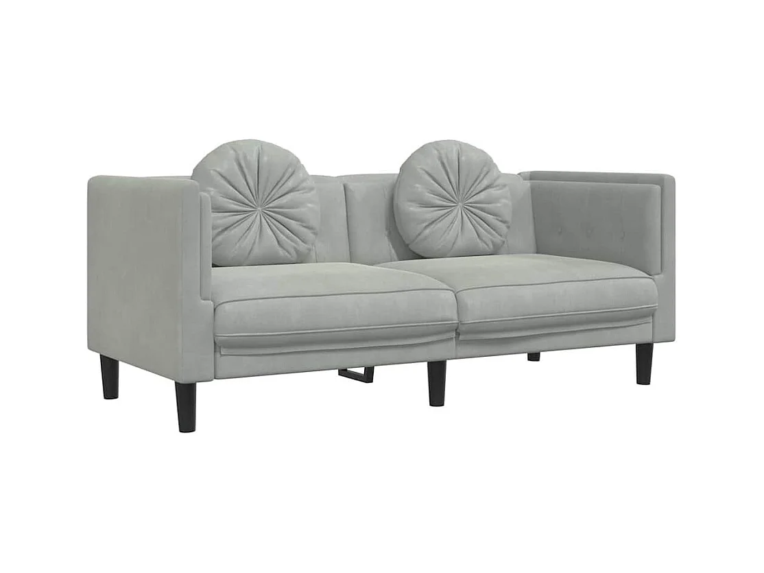 2-zits lichtgrijze fluwelen bank met kussens