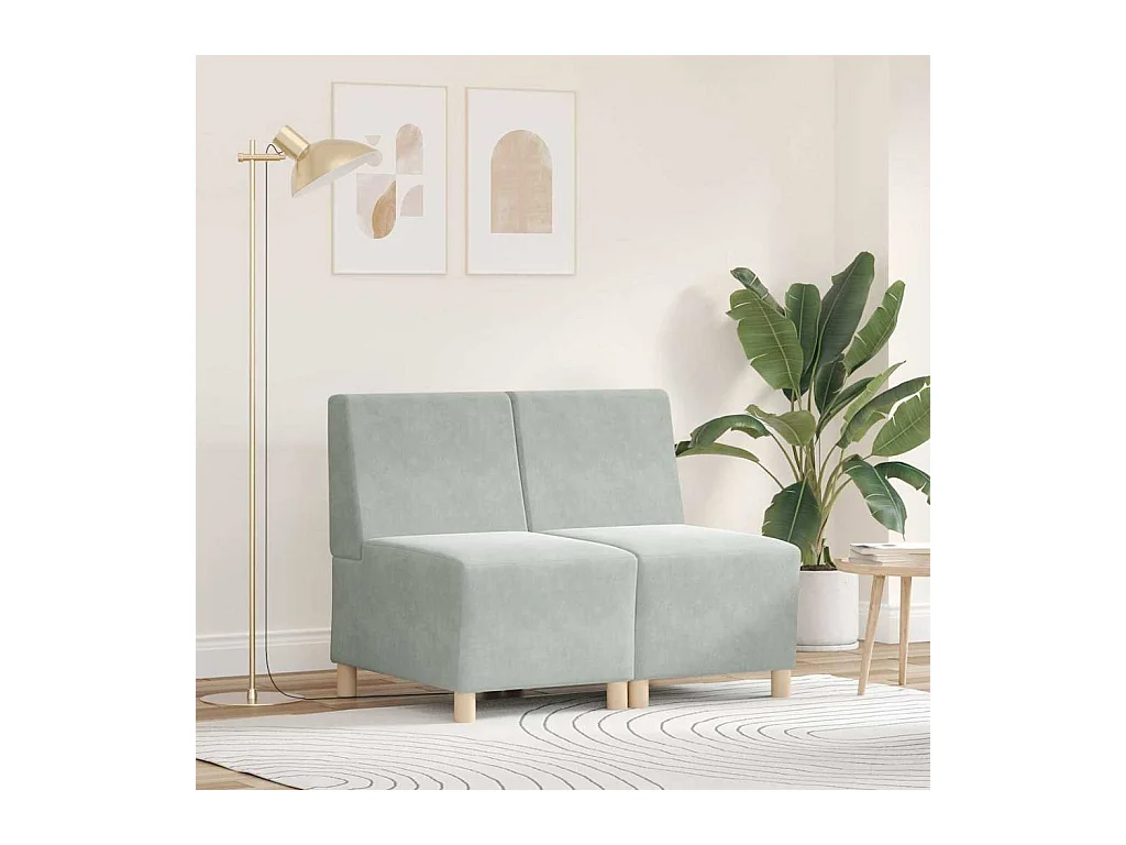 Unité de Sofa Modulaire Sans Accoudoirs 2 pcs Gris clair