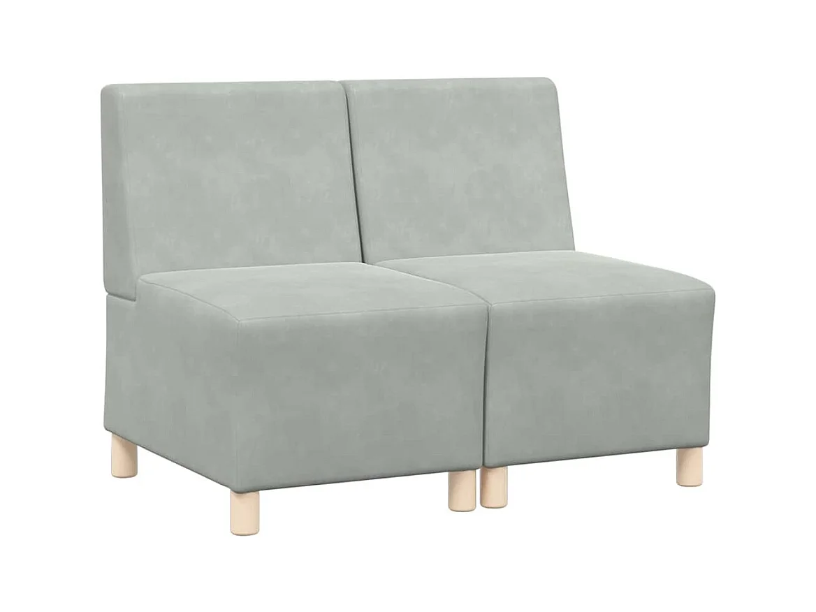 Unité de Sofa Modulaire Sans Accoudoirs 2 pcs Gris clair