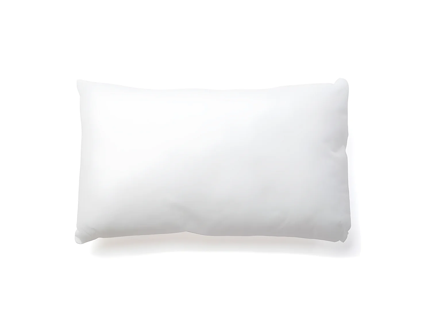 Interieur de coussin 30x50cm