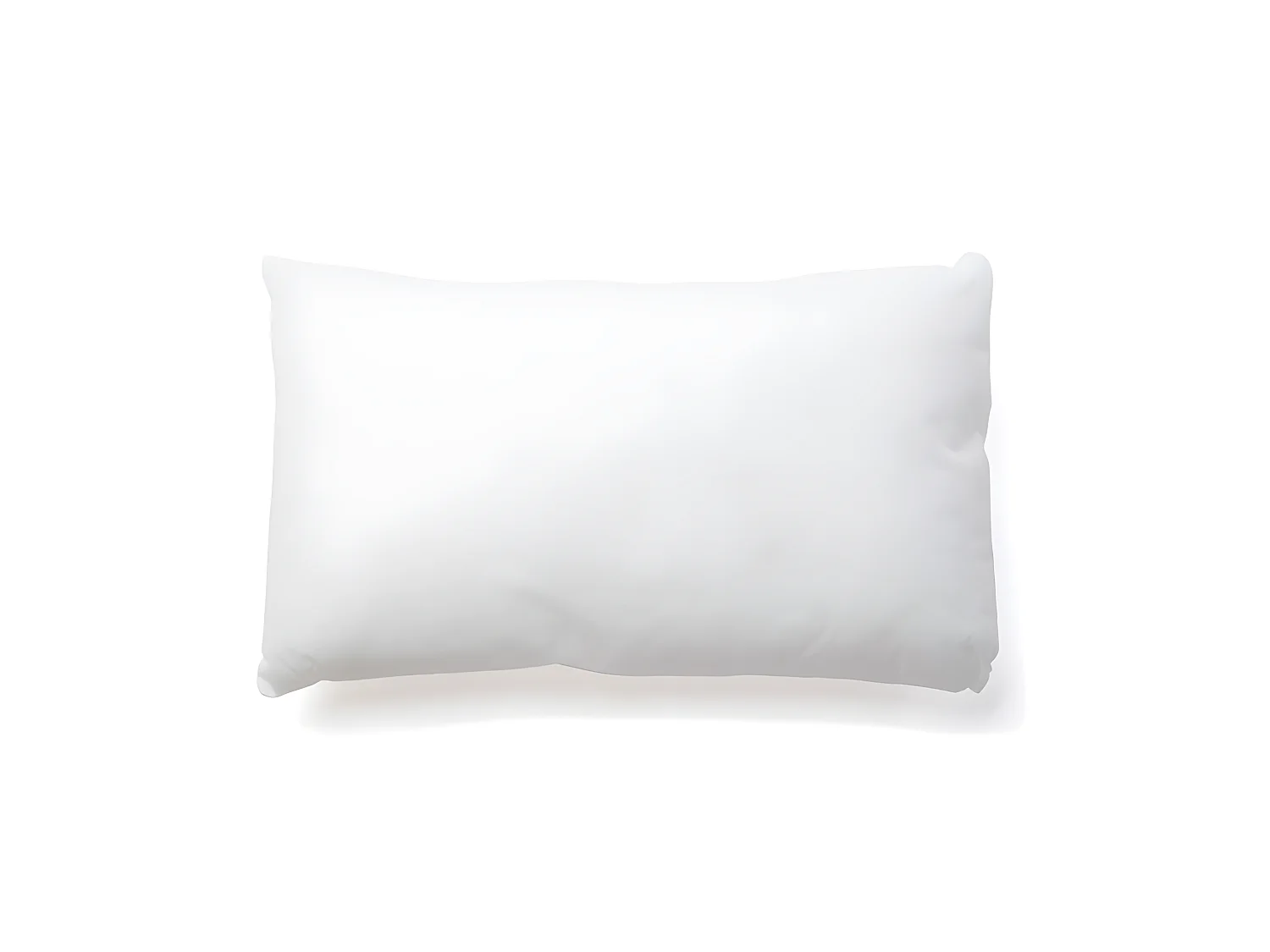 Interieur de coussin 30x50cm