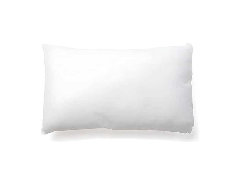 Interieur de coussin 30x50cm