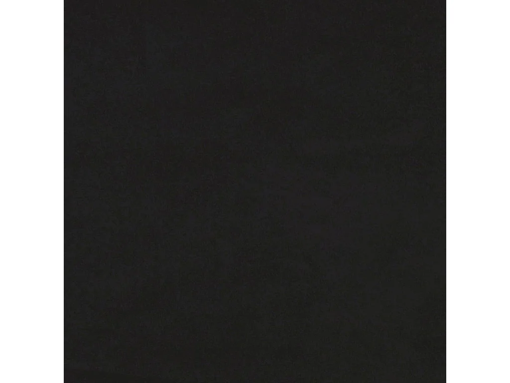 Dagbed met onderschuifbed zonder matras zwart 90x200 cm