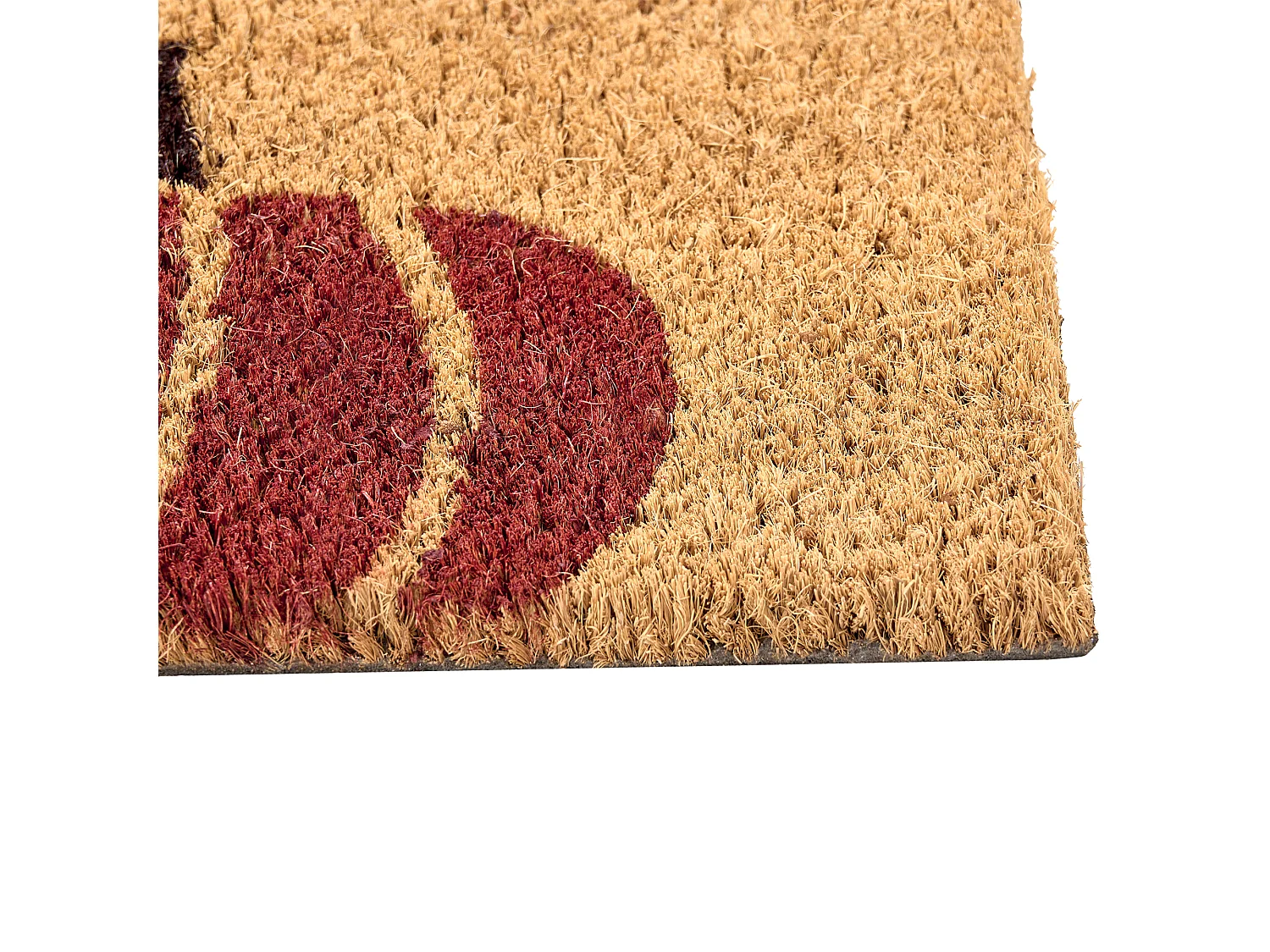 Paillasson PANDIN Multicolore 60 x 90 cm Citrouille Fibre de coco
