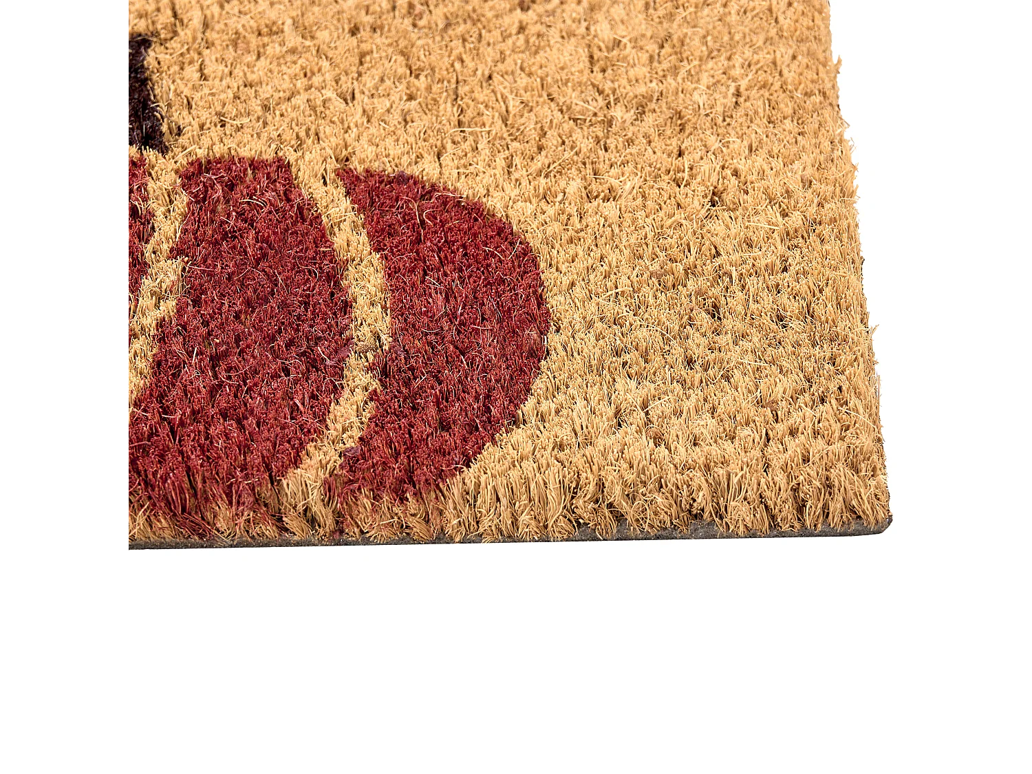 Paillasson PANDIN Multicolore 60 x 90 cm Citrouille Fibre de coco