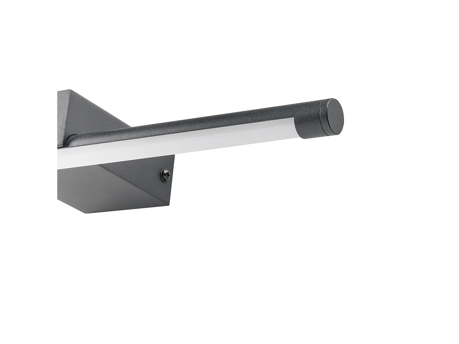 Picture and Mirror LED Light CASAL Metal Black