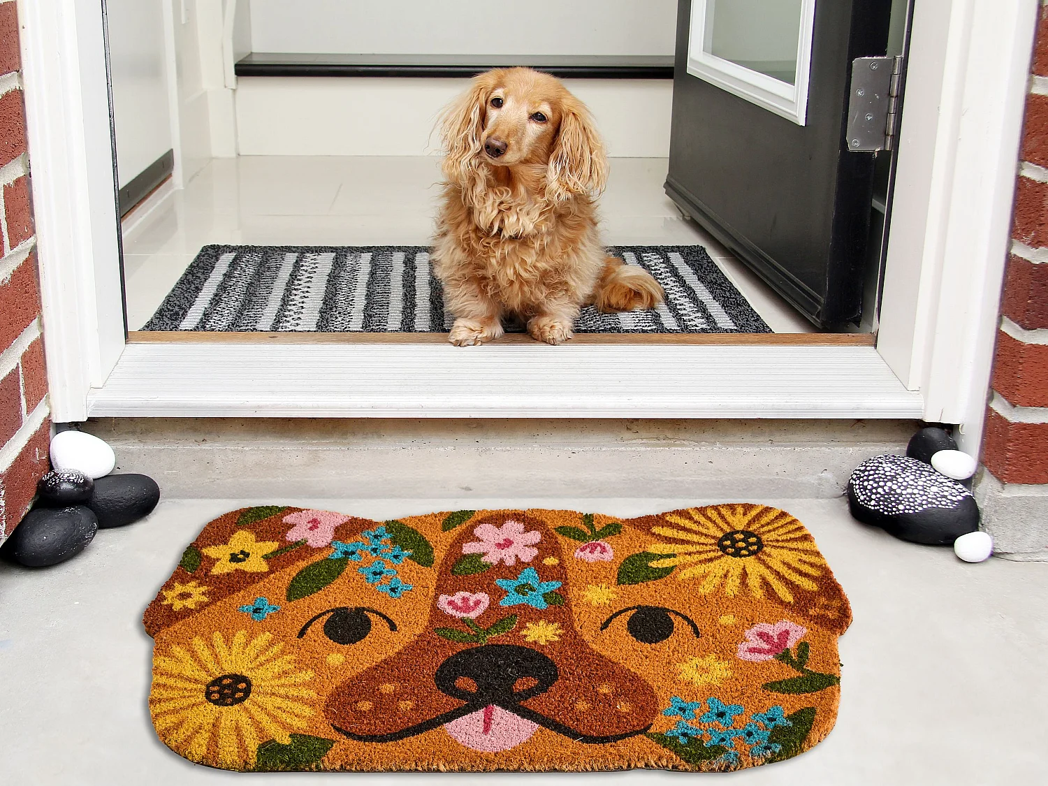 Paillasson TIBIG Multicolore 60 x 90 cm Chien Fibre de coco