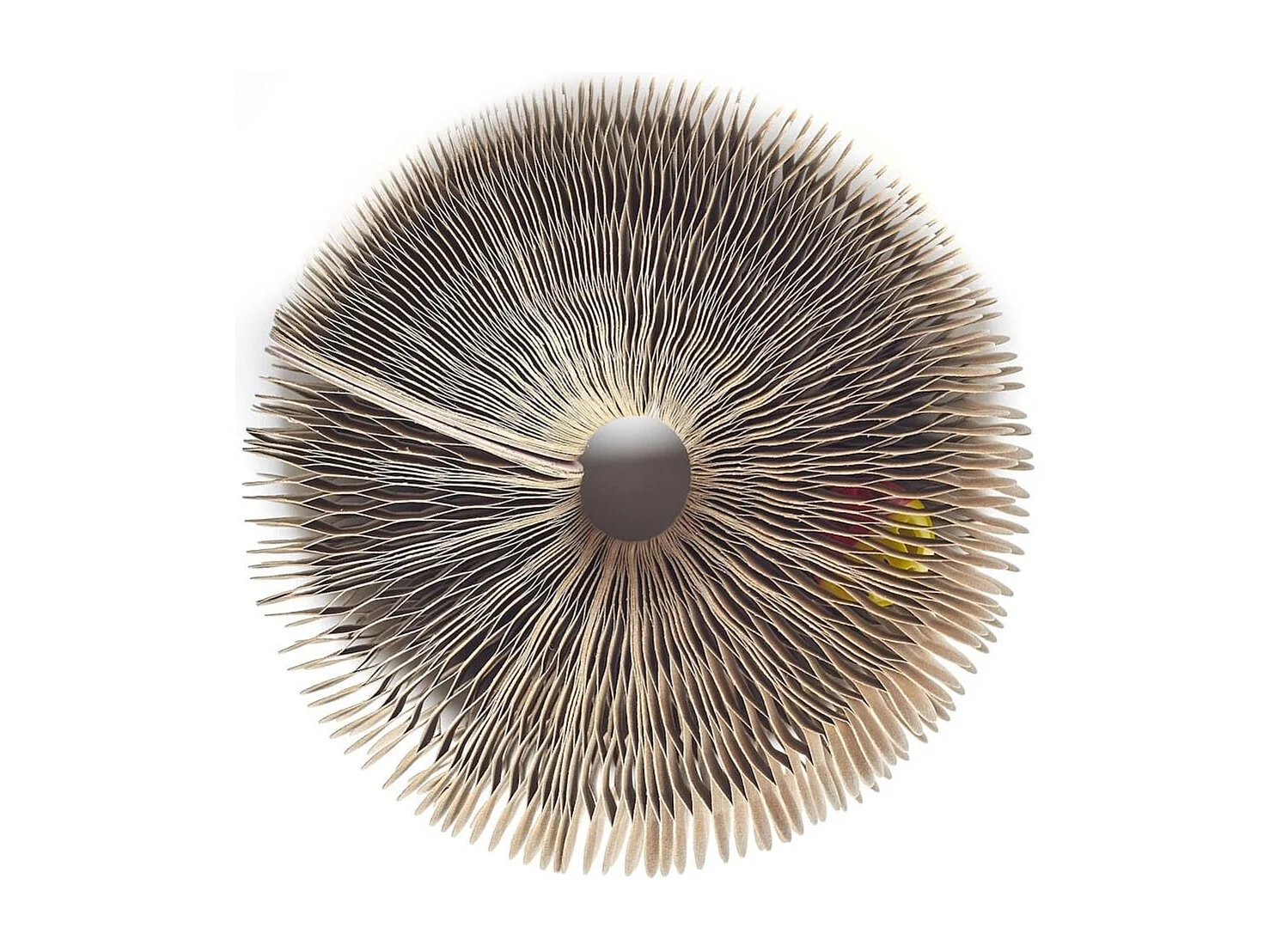 Jeu griffoir pour chat pliable avec 1 balle