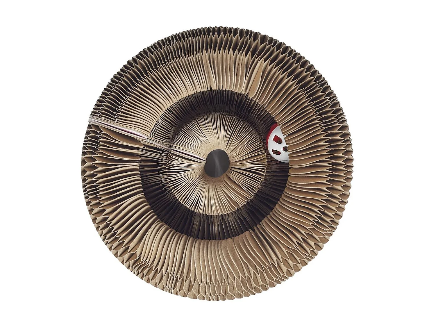 Jeu griffoir pour chat pliable avec 1 balle