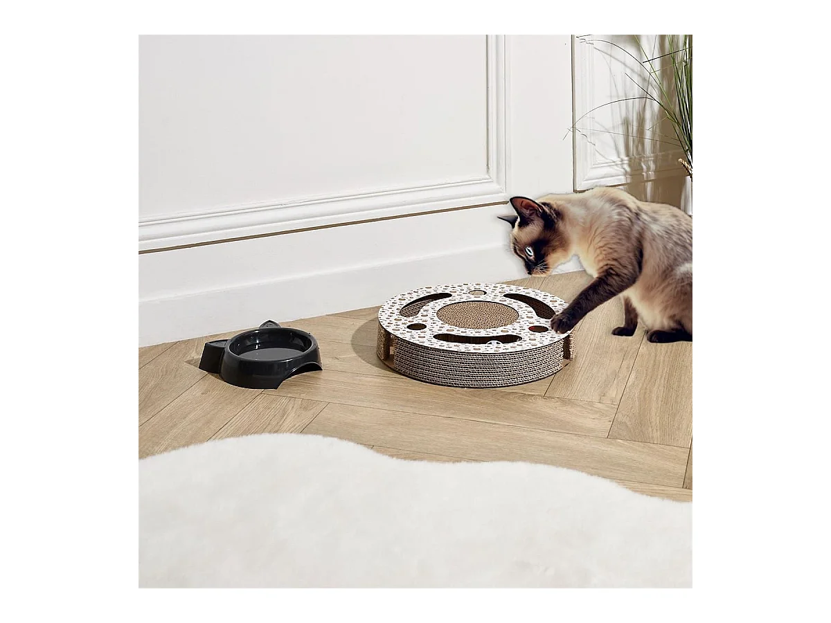 Jeu griffoir rond pour chat avec 2 balles