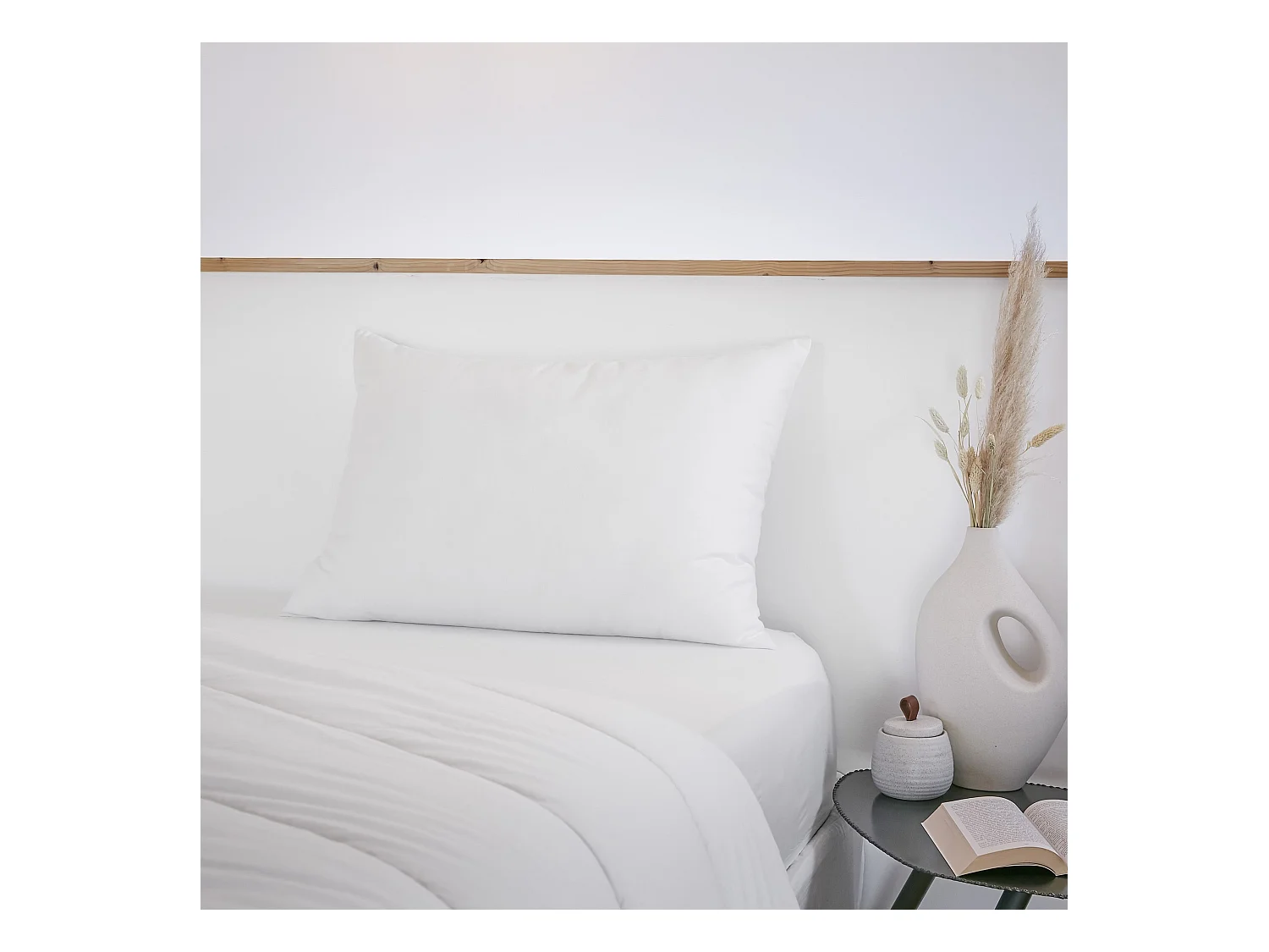 Oreiller 50 x 70 cm SIRIUS