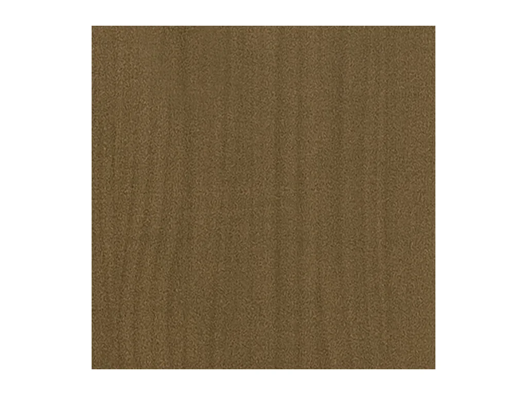 Centerville  Bibliothèque/Séparateur de pièce Marron miel 40x30x167,5 cm Pin