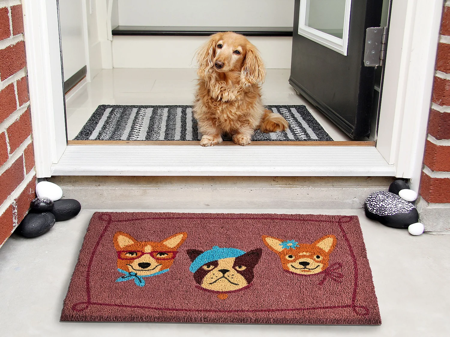 Paillasson BABABU Multicolore 60 x 90 cm Chien Fibre de coco