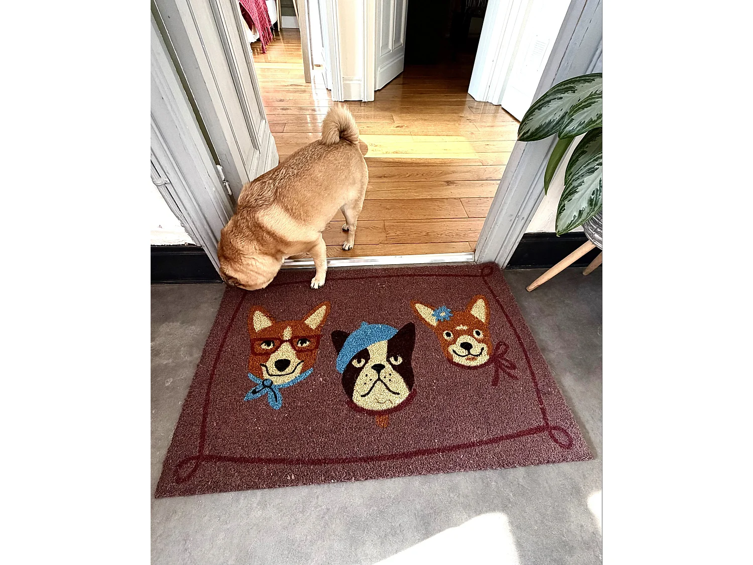 Paillasson BABABU Multicolore 60 x 90 cm Chien Fibre de coco