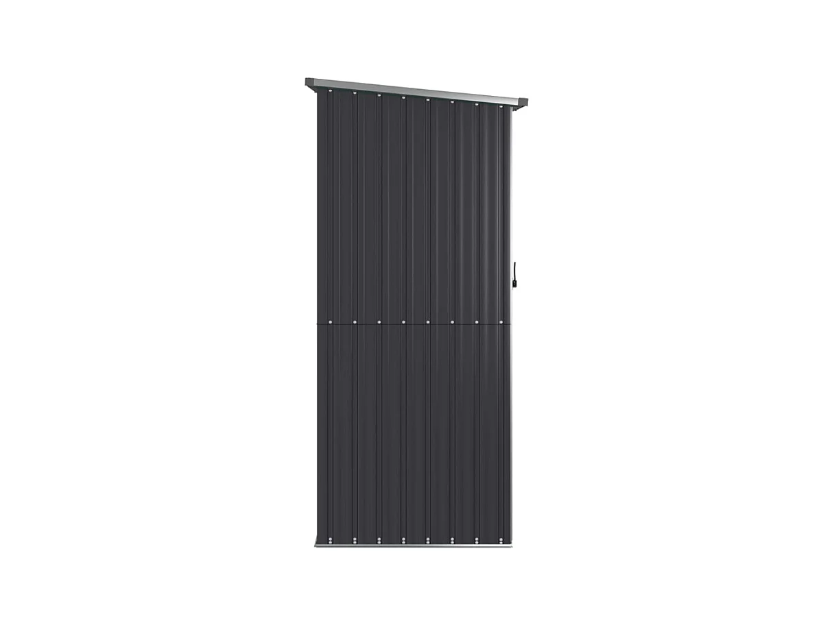 Abri de jardin Anthracite 118,5x97x209,5 cm Acier galvanisé