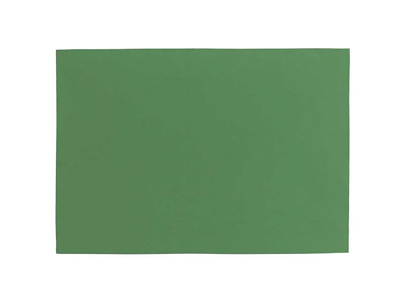 Set de Table Fonz - 33x48cm - Vert Forêt