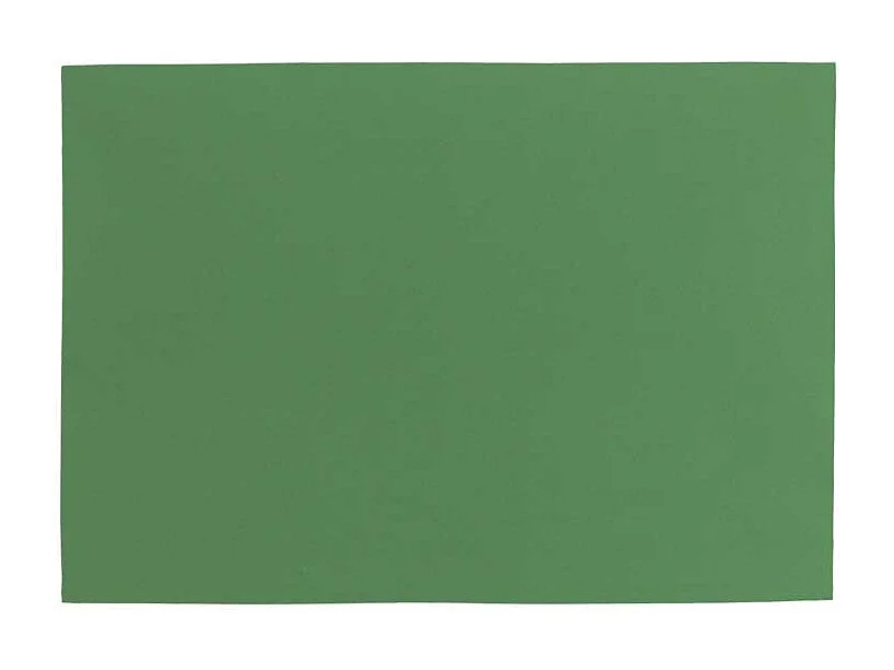 Set de Table Fonz - 33x48cm - Vert Forêt