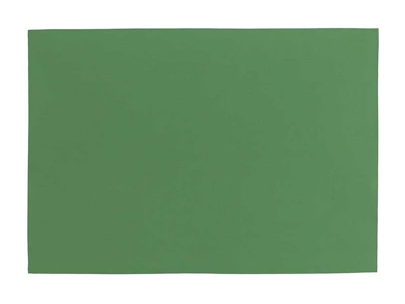 Set de Table Fonz - 33x48cm - Vert Forêt