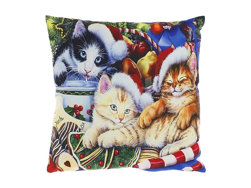 Coussin décoratif Motif Imprimé Traditionnel 1 - 45x45cm