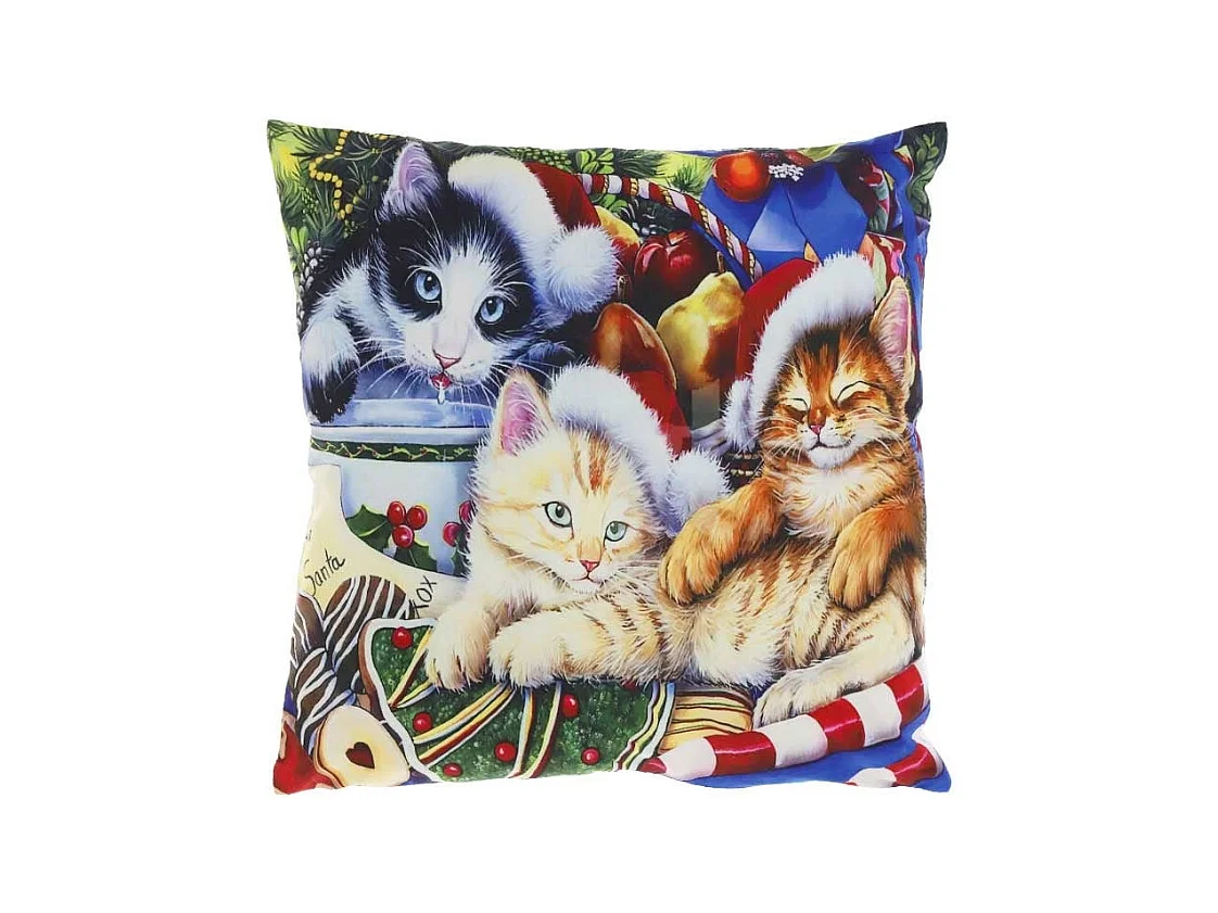 Coussin décoratif Motif Imprimé Traditionnel 1 - 45x45cm