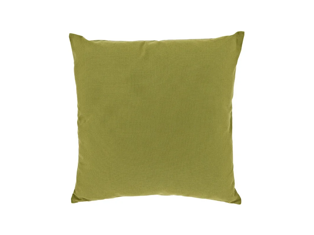 Coussin décoratif Otis Vert Mousse -45x45cm