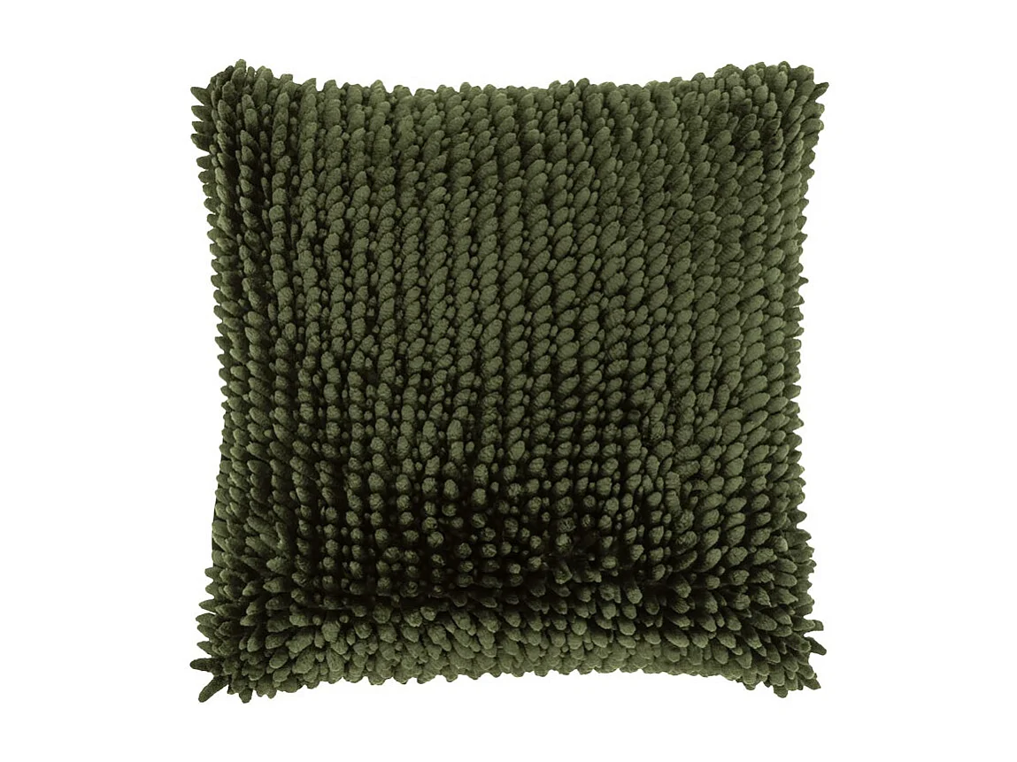 Coussin Max 45x45cm Vert Hiver
