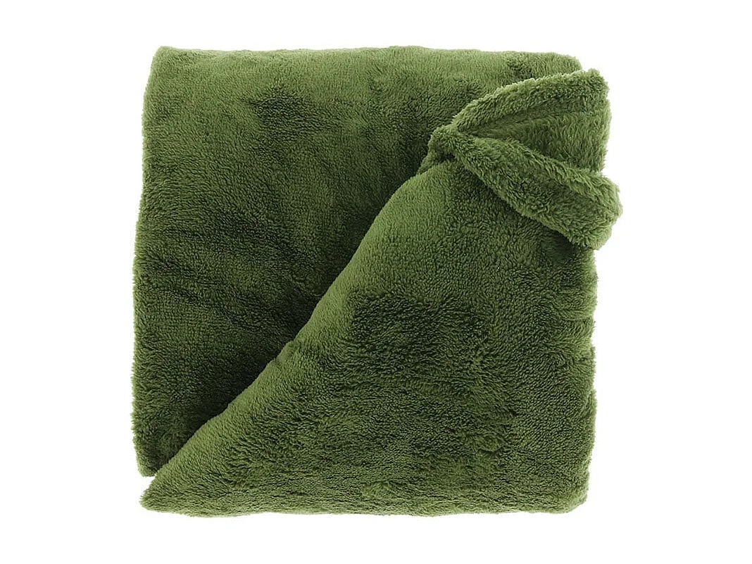 Plaid Justin Vert Hiver - 220x240cm