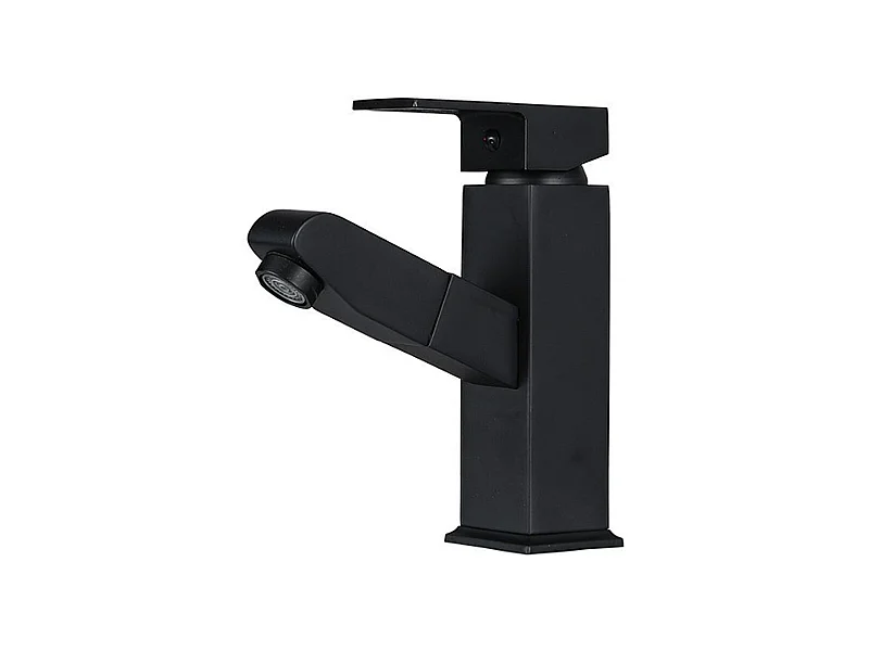 Robinet salle de bain de lavabo avec douchette extractible, norme familiale, noir