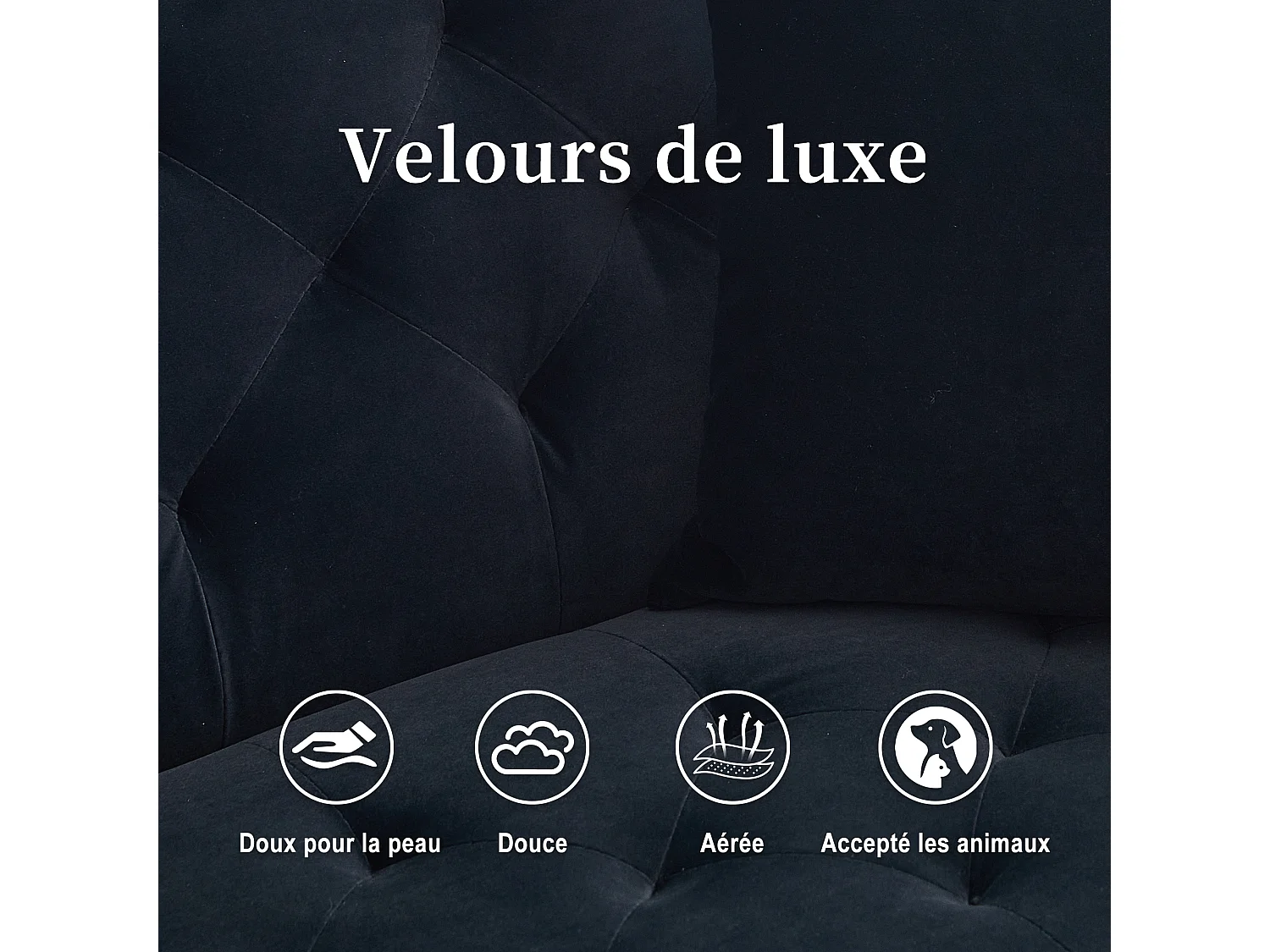 Canapé 2 Places en Tissu Velour Noir  - avec dossier réglable et pieds dorés - Élégant et pratique pour votre salon