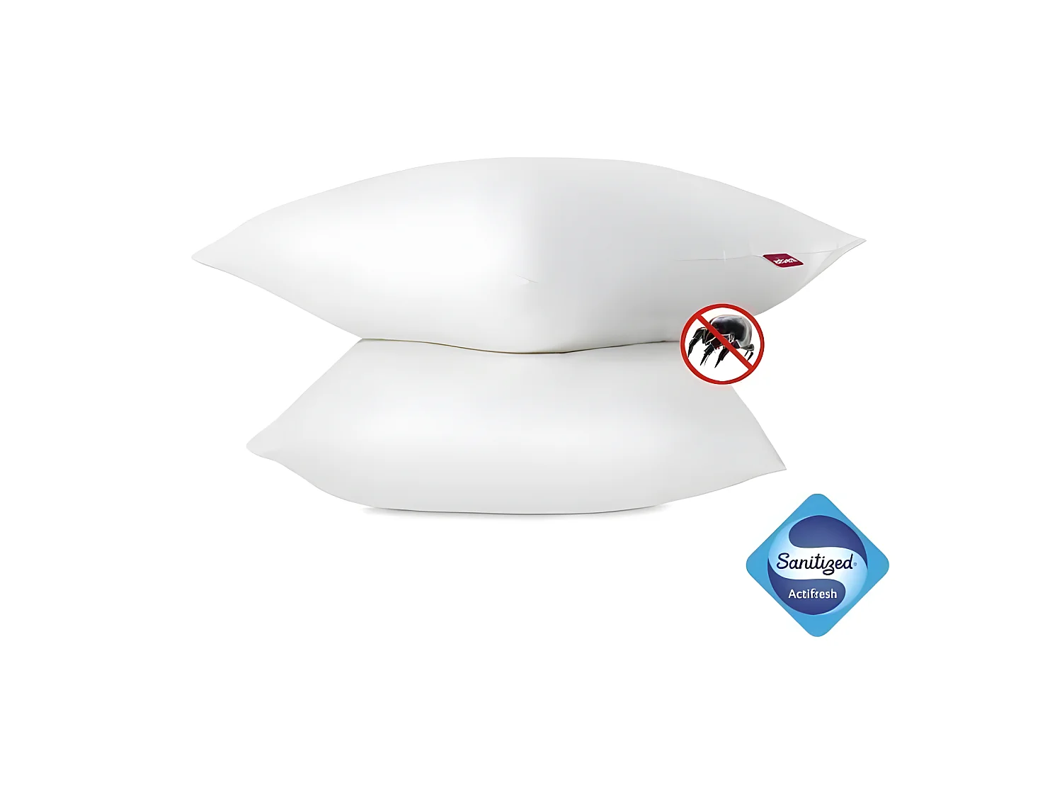 Set di 2 Cuscini Antiacaro 60x60 cm Bianco Morbido Lavabile in Lavatrice