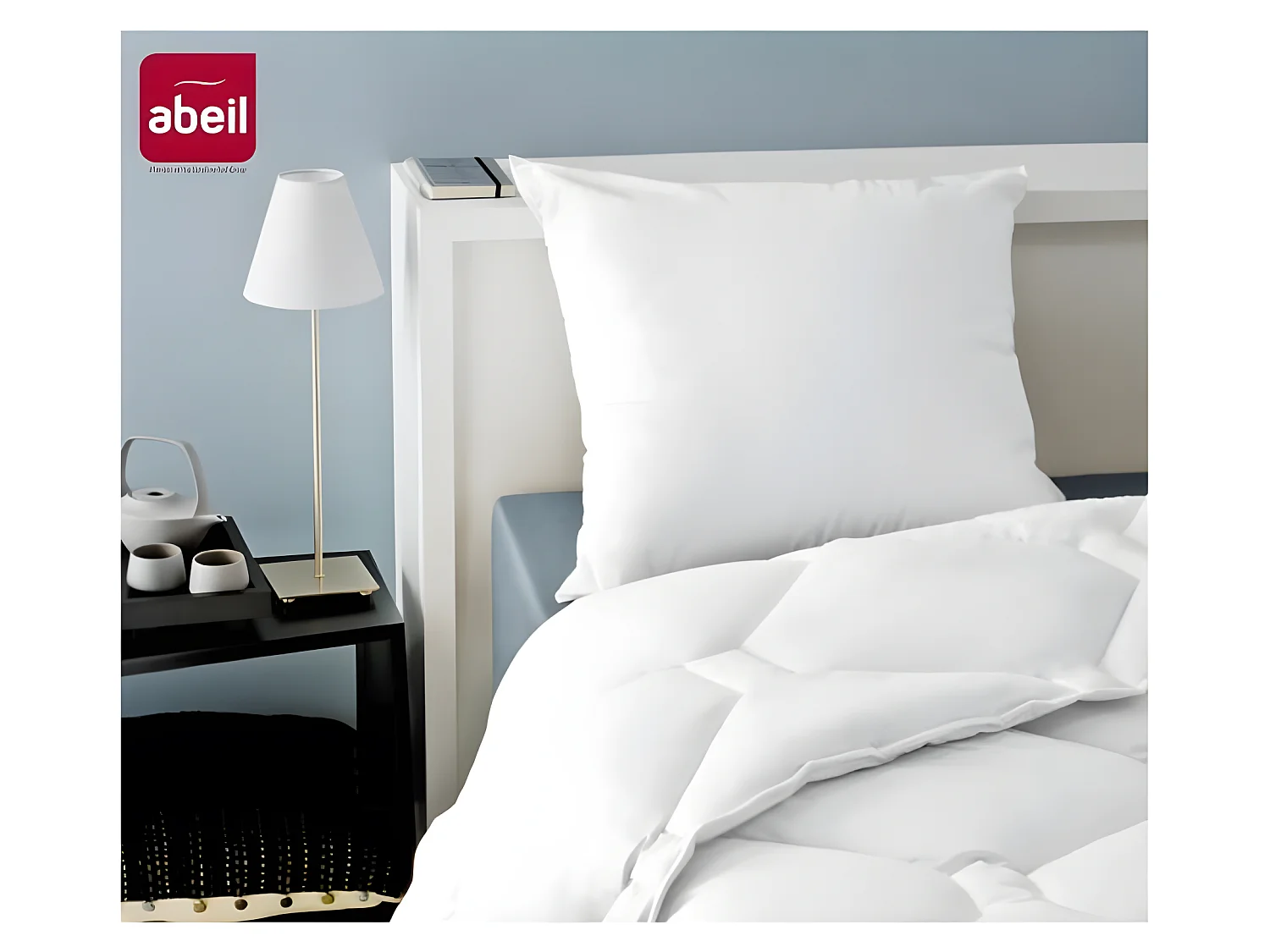 Set aus 2 Anti-Milben Kissen 60x60 cm Weiß Weich Maschinenwaschbar