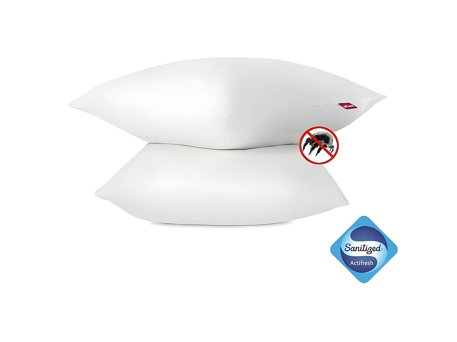 Set aus 2 Anti-Milben Kissen 60x60 cm Weiß Weich Maschinenwaschbar