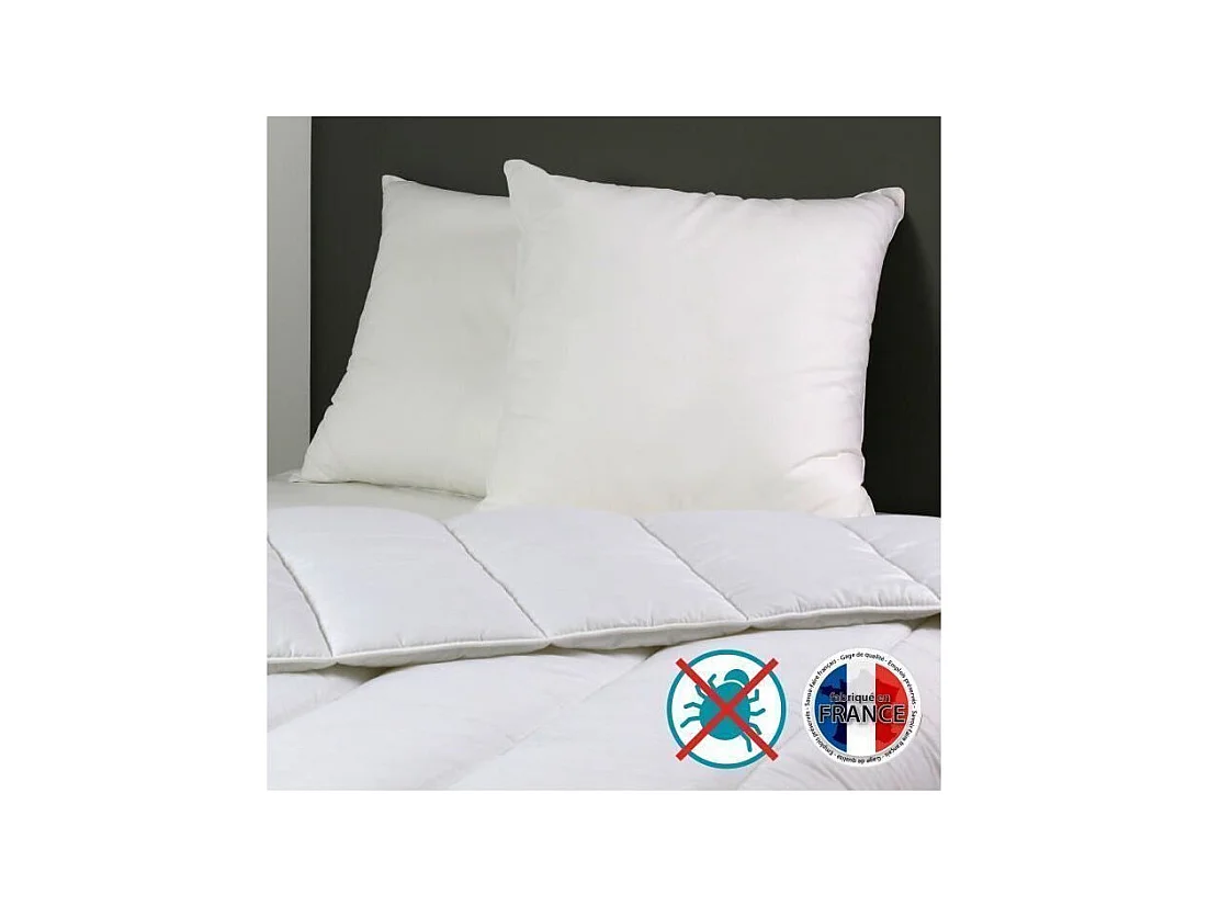 Set aus 2 Anti-Milben Kissen Belle Nuit 60x60 cm Weiß DODO - Weicher Komfort