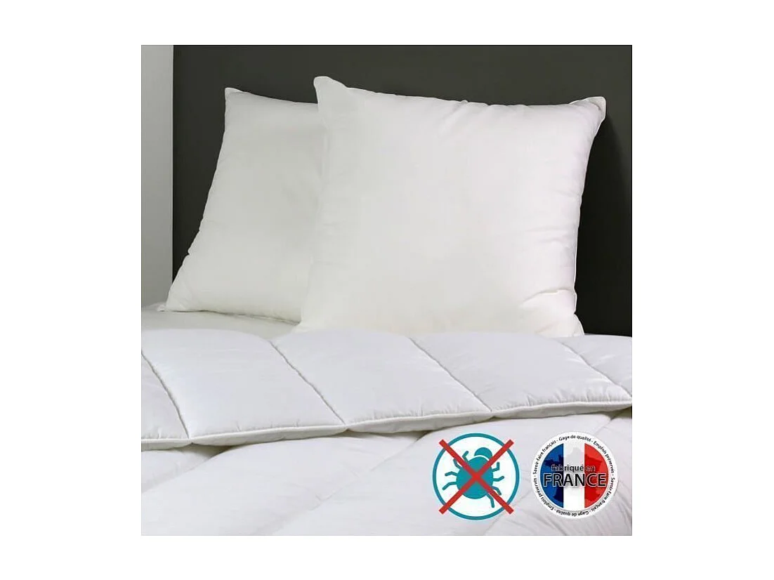 Set aus 2 Anti-Milben Kissen Belle Nuit 60x60 cm Weiß DODO - Weicher Komfort