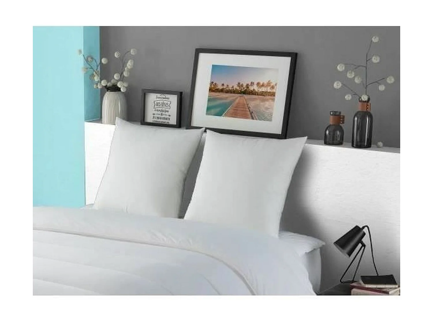 Kissen LUXOR 60x60 cm Daunen-Effekt Uni DODO - Perkal-Baumwolle - Mittlerer Komfort - Textil Oeko-Tex