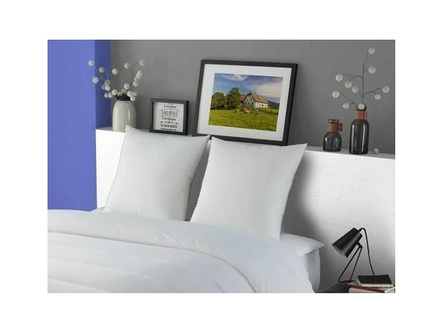 2 Almohadas Plumettes MERIBEL 60 x 60 cm