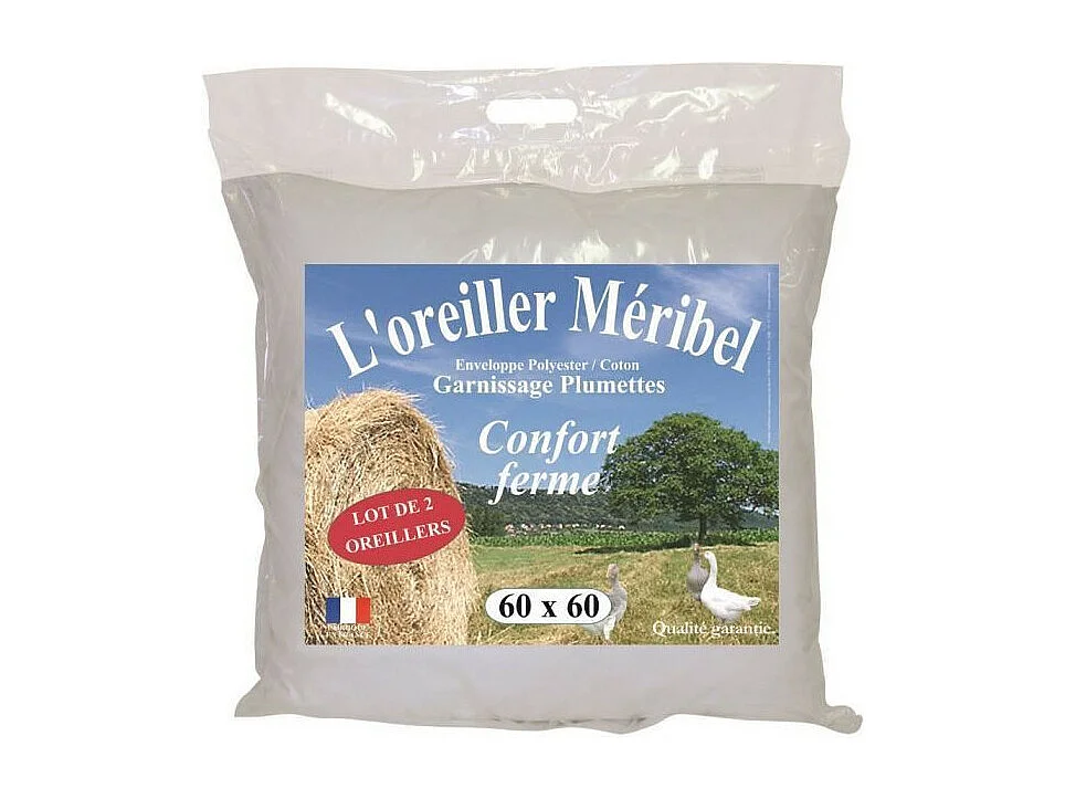 DODO Lot de 2 Oreillers MERIBEL Plumettes 60x60cm