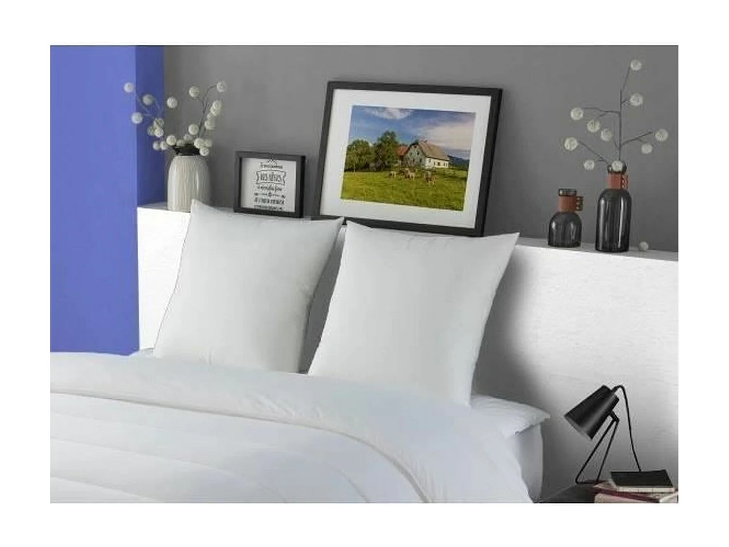 DODO Lot de 2 Oreillers MERIBEL Plumettes 60x60cm