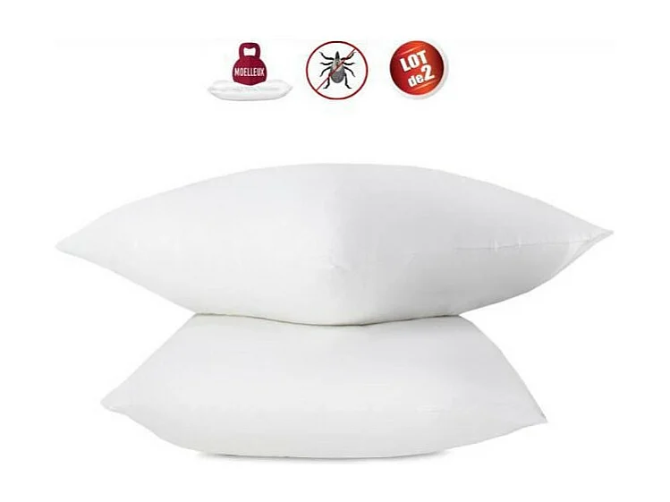 Lot de 2 oreillers anti-acariens - 60 x 60 cm - 100% coton traite Bio - ABEIL