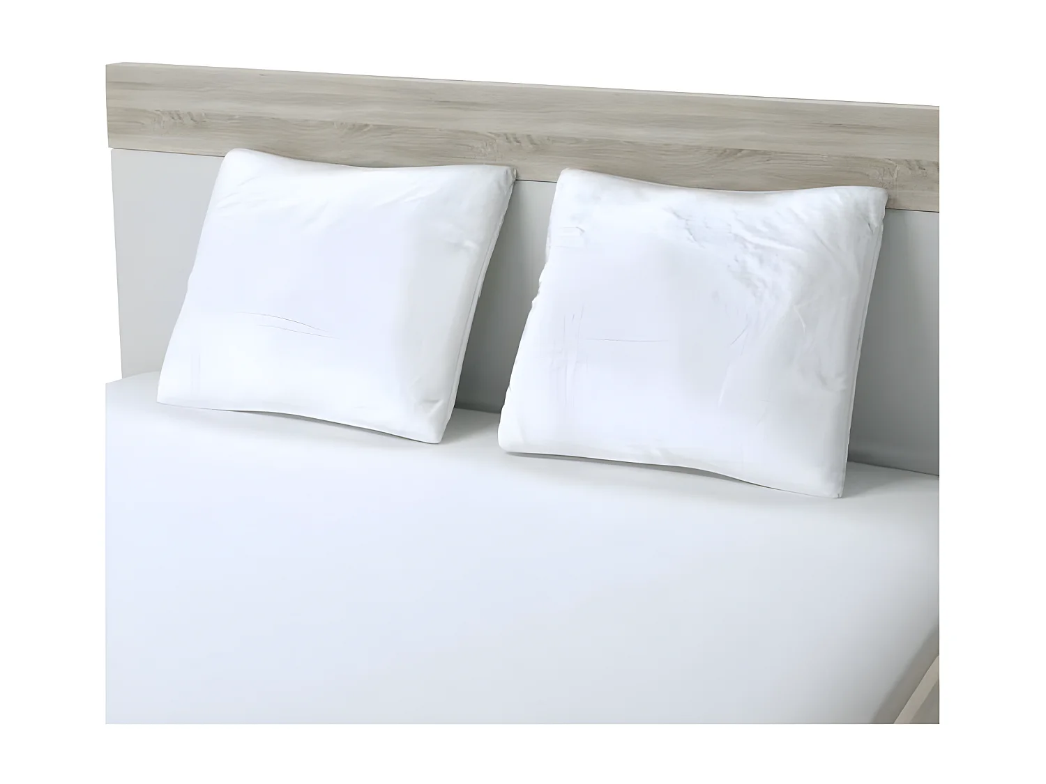 Set van 2 kussens Total Protect 65x65 cm wit