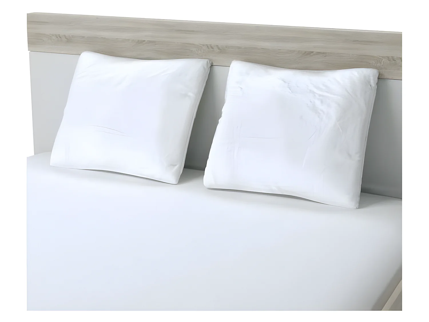 DODO Lot de 2 oreillers Total Protect 65x65 cm blanc