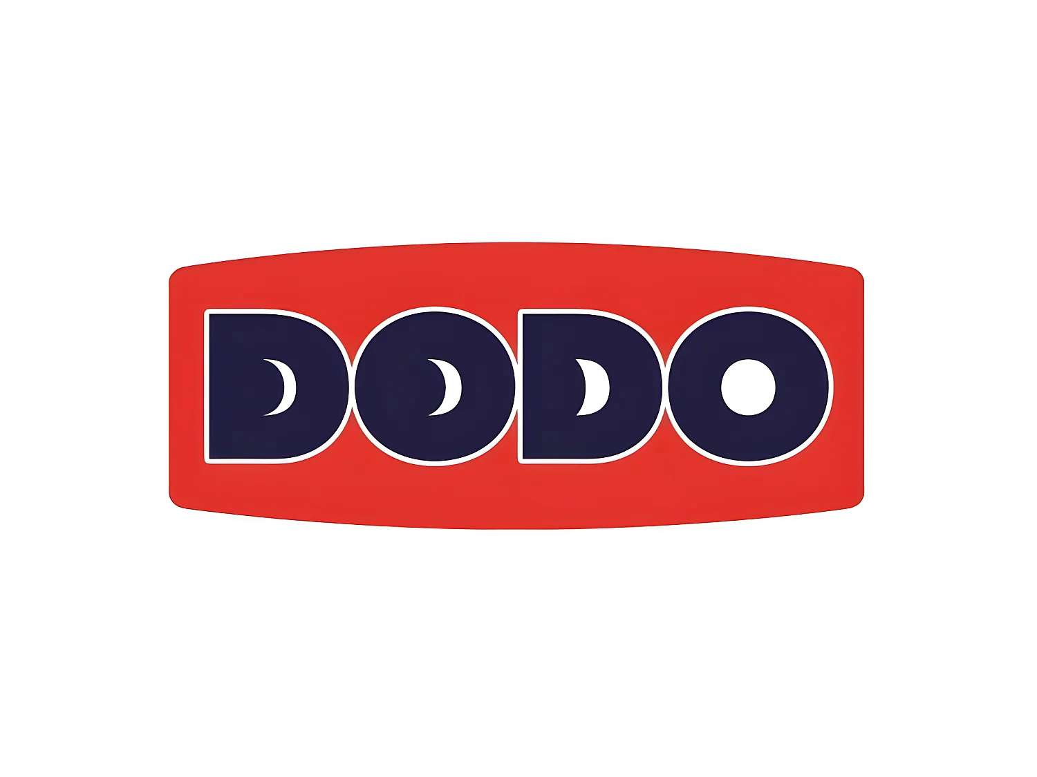 DODO Lot de 2 Oreillers VANCOUVER 60x60cm