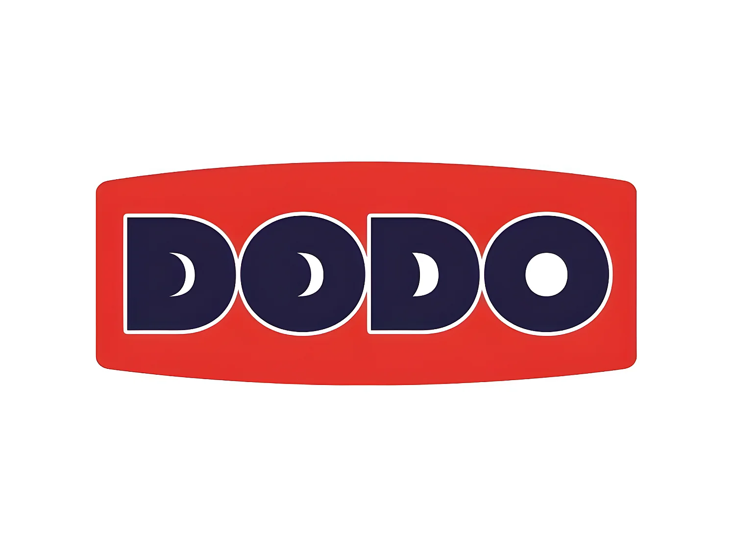 DODO Lot de 2 Oreillers VANCOUVER 60x60cm