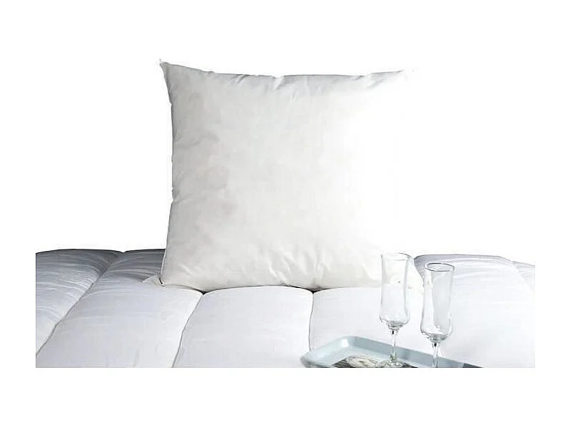 DODO Oreiller Duvet Oie MORZINE Anti-Acariens 65x65cm blanc