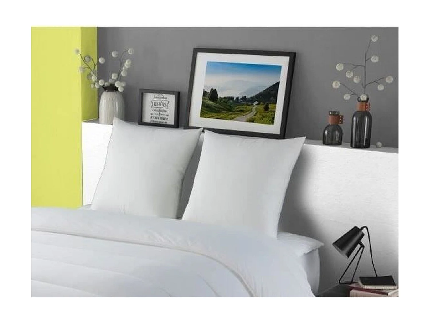 DODO Oreiller Duvet Oie MORZINE Anti-Acariens 65x65cm blanc