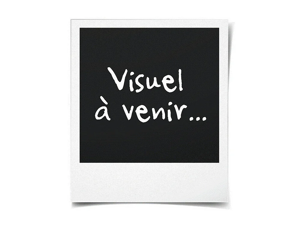 BLANREVE Traversin Plumes 160 cm