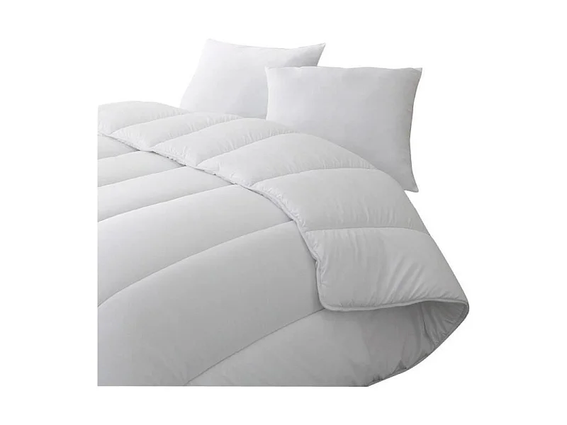 BLANREVE Couette chaude Percale - Anti-acariens - 350g/m2 - 220x240cm