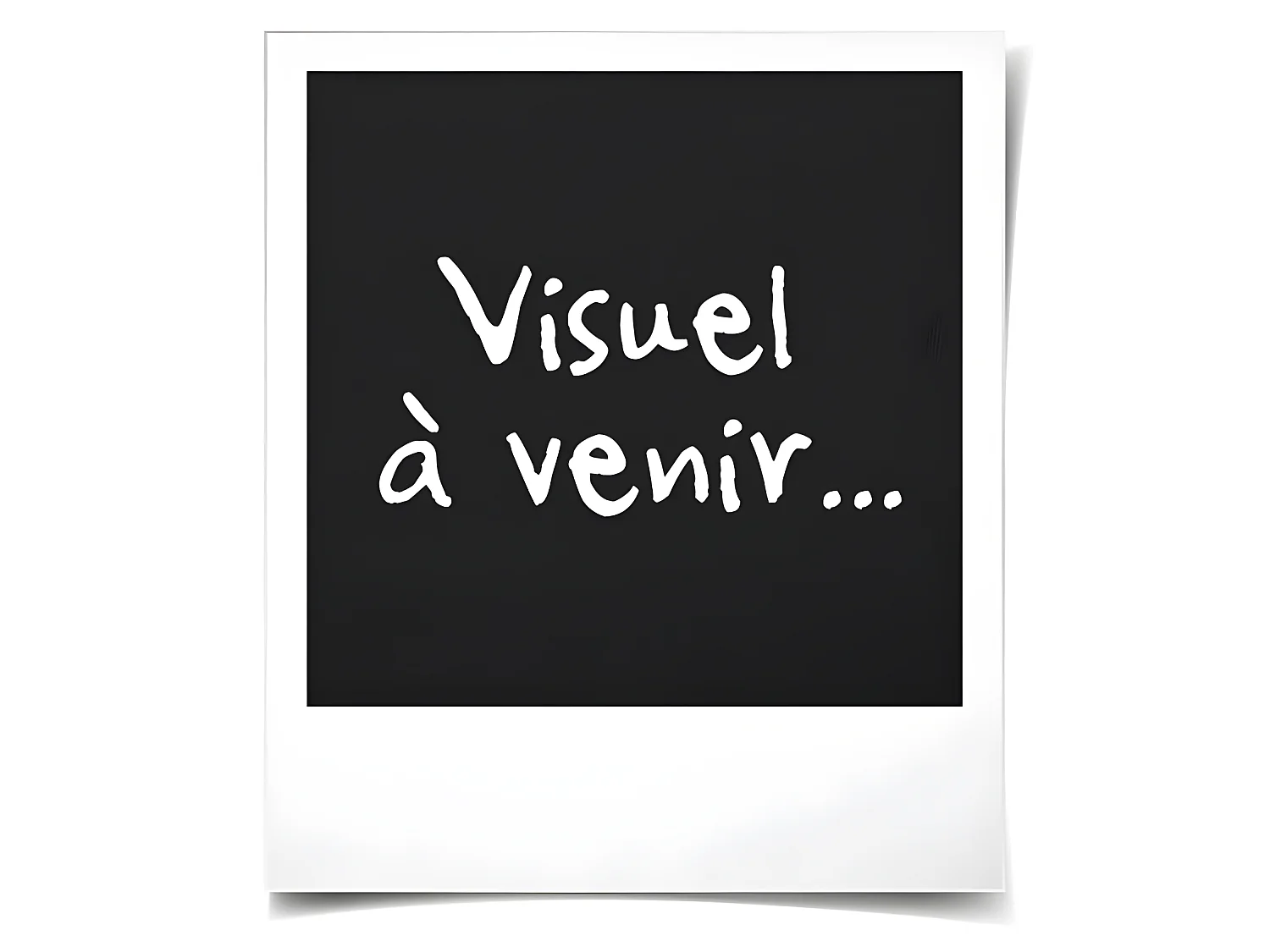 Piumone MODULARE Speciale Coppia 240x260cm